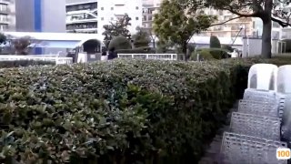 林雅诗成人理论视频- 高清在线观看